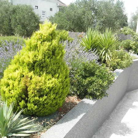 Apartmán Dora Bibinje, 30 M From The Sea *